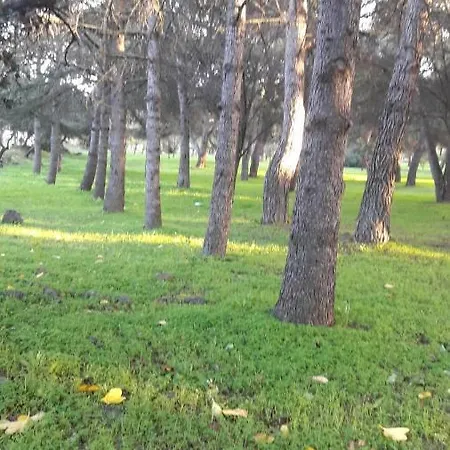 Richelieu 4 Cap Lägenhet *